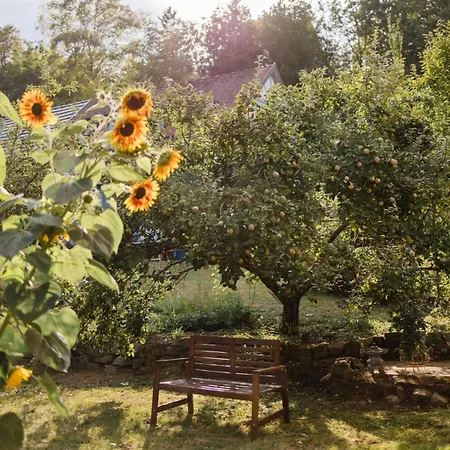Emmerichsthal * Obersinn
